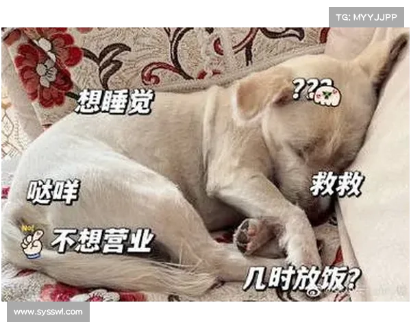 修狗奥运会惊现沉思者!第四选手赛前陷入谜之沉默 修狗奥运会惊现沉思者!第四选手赛前陷入谜之沉默